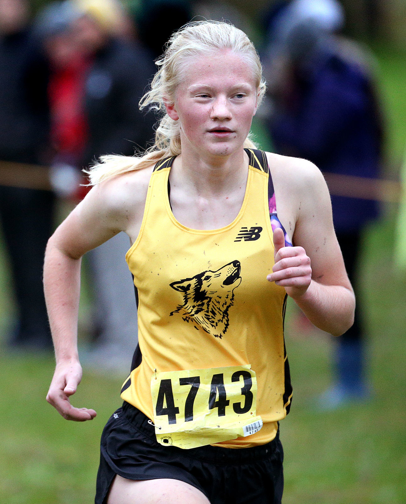MVC Cross Country Championships